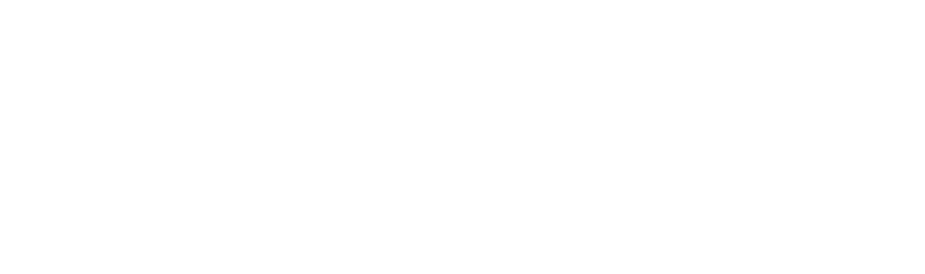 Logo Axem Services Weiß Format Png